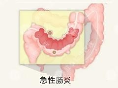 bd315c6034a85edf795b6afe41540923dc54751c