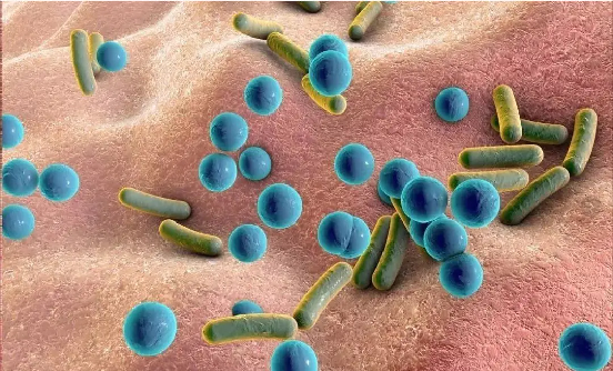 v2-64aa0d583427de68034575b2c5a36701_r