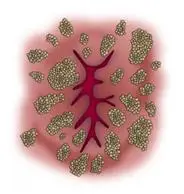 u=1345616117,3666211657&fm=253&fmt=auto&app=138&f=JPEG u=1345616117,3666211657&fm=253&fmt=auto&app=138&f=JPEG