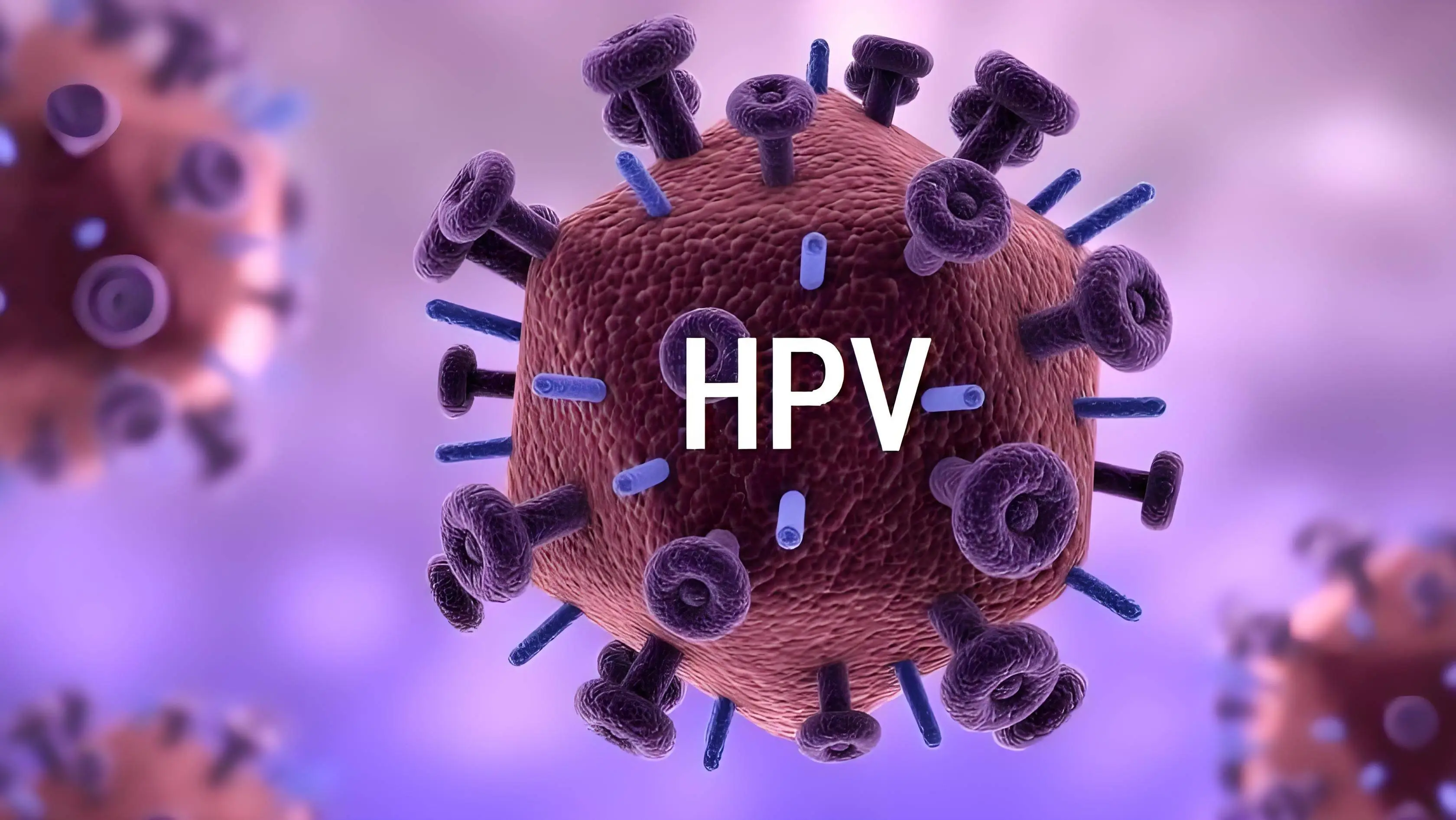 75d6ee89d795411cb0e007e4cb13a621 75d6ee89d795411cb0e007e4cb13a621